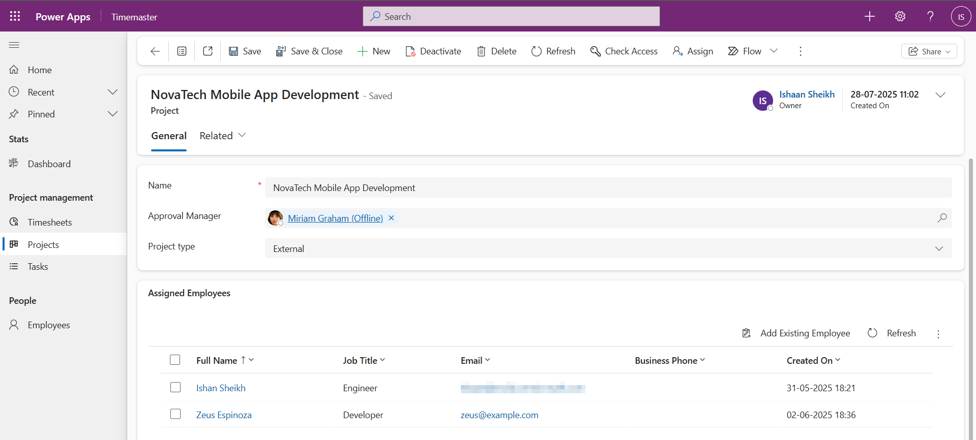 individual project form